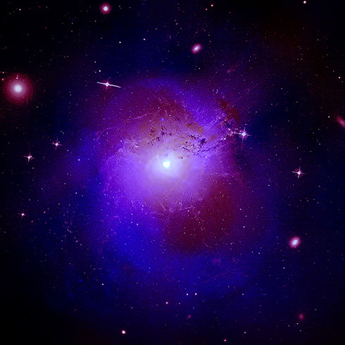 Perseus-Galaxienhaufen: Das Bild zeigt in Rot sichtbares Licht und Radiolicht sowie in Blau Röntgenlicht. Bild: X-ray: NASA/CXO/Fabian et al.; Radio: Gendron-Marsolais et al.; NRAO/AUI/NSF Optical: NASA, SDSS